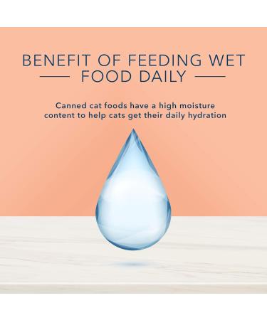 Blue Buffalo True Solutions Natural Adult Wet Cat Food Weight Care 85g cans (Pack of 24) Weight Care Wet Cat Food - Sm Size - Buy Online on GoSupps.com