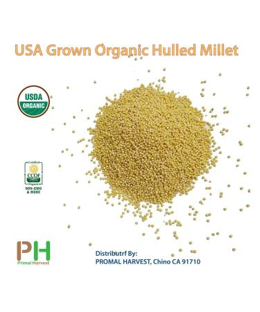Organic Millet Whole Grain Seeds - USA Grown, Non-GMO, Gluten-Free - 1lb Pack - Buy Online on GoSupps.com