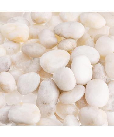 Dicunoy white decorative stones river rocks 2.7kg natural polished stones for plants smooth rocks for landscape design vase filler aquarium landscaping (size 2-5 cm) - Buy Online on GoSupps.com