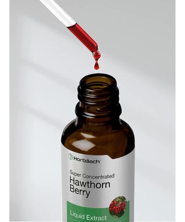 Organic Hawthorn Berry Extract | 2 fl oz Liquid Tincture | Alcohol-Free, Vegetarian, Non-GMO, Gluten-Free - Horbaach - Buy Online on GoSupps.com