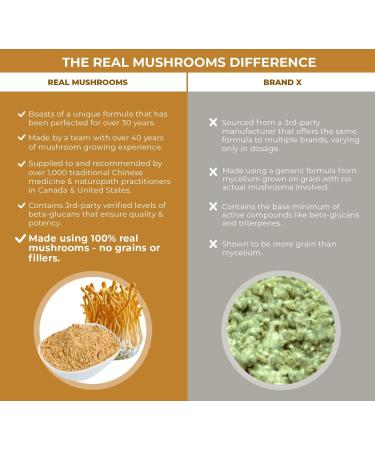 Cordyceps Performance Mushroom Extract Powder - Boost Energy & Endurance (120ct) Non-GMO - 60 Days Supply - Buy Online on GoSupps.com