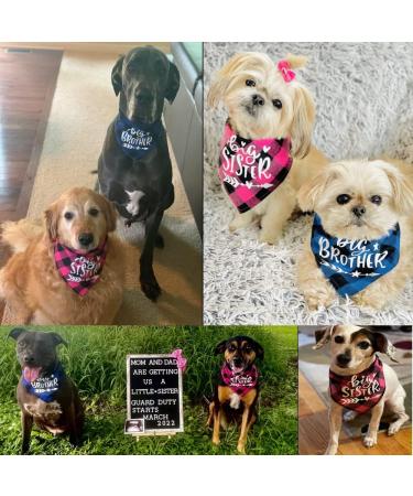 Dog Bandana Pregnancy Announcement EYLEER Plaid Dog Bandana Scarf Big Brother Big Sister Pregnancy Announcement Pet Costume Accessories Gender Reveal Photo Booth Props Dog Bandana for Small Medium Large Dogs Cats and Other Animals (Pink Plaid) - Buy Online on GoSupps.com
