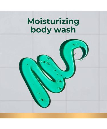 Irish Spring Men's Original Clean Body Wash 4 Pack - 20 Oz Bottle | Biodegradable Ingredients | 24-Hour Freshness - Buy Online on GoSupps.com