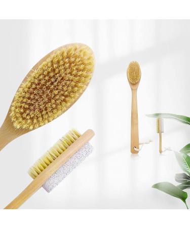 CARELAX Long Handle Back Scrubber Brush with Pumice Stone - Body Exfoliating for Shower and Dry Brushing - Buy Online on GoSupps.com