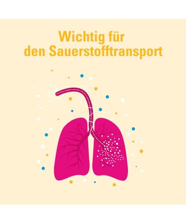 Iron Tablets AbZ 100 mg - Film-Coated for Iron Deficiency - 100 Tablets - Fast International Shipping - Buy Online on GoSupps.com