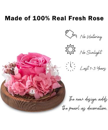 Vanilla Scented Candles Gift Set for Women - Aromatherapy 14oz Soy Candles with Pink Preserved Rose - Perfect Christmas & Birthday Gifts for Moms - Buy Online on GoSupps.com