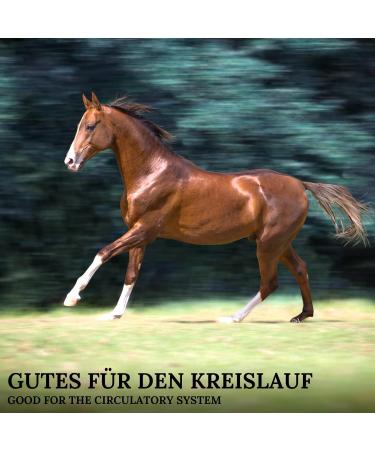 Stiefel Hawthorn Cut 500g - Buy Online on GoSupps.com