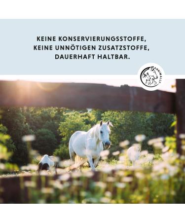 Annimally Hoof Balm for Horses - 500ml Hoof Care Ointment & Hardener | Durable Hoof Grease for Healthy Hooves & Growth - Buy Online on GoSupps.com