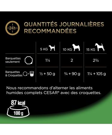 Cesar Barquettes Les Terrines du Jardin Wet food for dogs Meat with vegetables Pack of 16 trays x 300 g - Buy Online on GoSupps.com