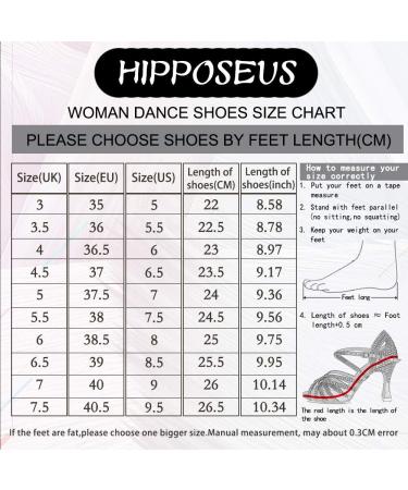 HIPPOSEUS Women's Latin Dance Shoes - Professional Ballroom Salsa Practice Shoes - Model DBCG802 - 2inch Heel - Black - Buy Online on GoSupps.com