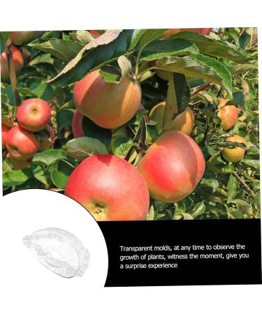 Yardwe 4 Pcs Ingot Shaped Mold Vegetables Pearl Shaping Mold Ingot Design Fruit Growing Molds Accessories - Buy Online on GoSupps.com