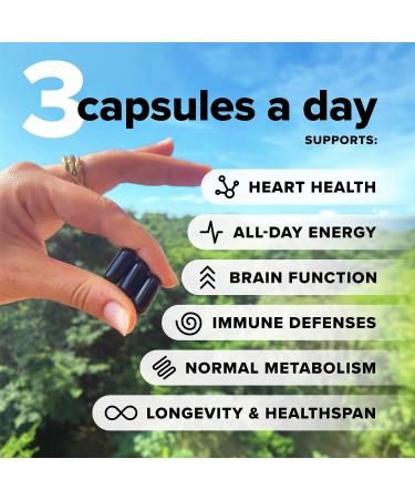 Complement Omega Complex & Essential Multivitamin Bundle Comprehensive Vegan Nutritional Support for Optimal Health and Wellness (30 Servings Each) - Buy Online on GoSupps.com