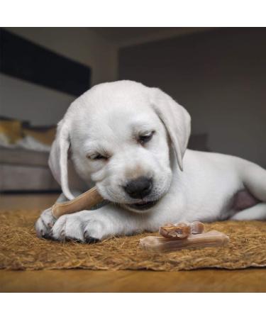 Nobleza 100% Natural Beef Dog Chewing Bones - 18 Pack Protein-Rich 7.6cm for Small Dogs - Buy Online on GoSupps.com