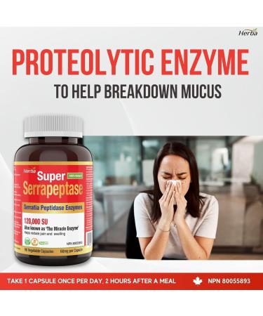 Herba Serrapeptase 120 000 SU - 90 Vegetable Capsules | High Potency Proteolytic Enzyme Supplement | Helps Reduce Pain and Swelling | 120000 Units (SPU) | 60mg | Made in Canada - Buy Online on GoSupps.com