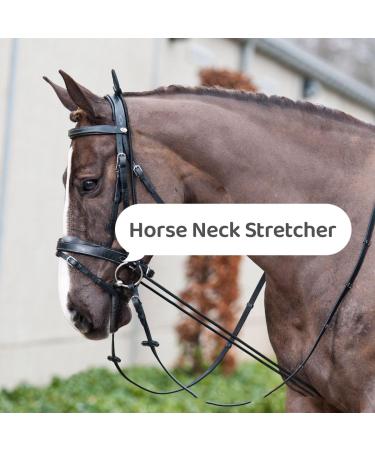 HEEPDD Horse Neck Stretcher 9.84ft Elastic Nylon Rope Horse Reins Training Rope Comfortable Training Aid - Buy Online on GoSupps.com