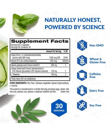 BioTrust Brain Bright Daily Nootropic Boost for Focus Concentration Mental Clarity Caffeine Free Nootropics Brain Support Supplement Thai Ginger Ginkgo Folate L-Theanine 30 Servings - Buy Online on GoSupps.com