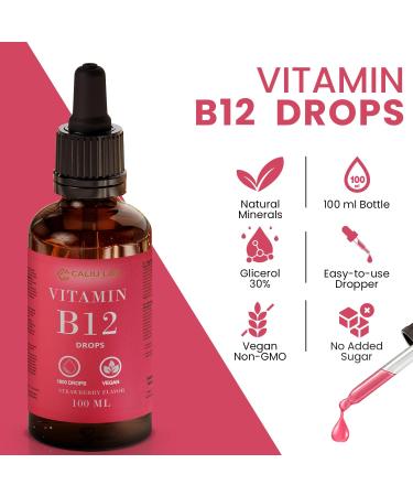 Gouttes de Vitamine B12 Liquide | 100 ml | 500 g M thylcobalamine + Ad nosylcobalamine par Goutte | Haute Absorption Sublinguale | Formule Vegan Sans Alcool | Fatigue & nergie - Buy Online on GoSupps.com