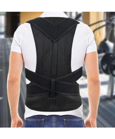 Milageto Back Support Brace Posture Brace for Adults Family Office Worker M - Buy Online on GoSupps.com