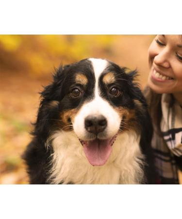 Premium Rabbit Ears for Dogs - 500g | 100% German Made | Odor-Neutral Treats | Pridedogs Kausnack - Buy Online on GoSupps.com