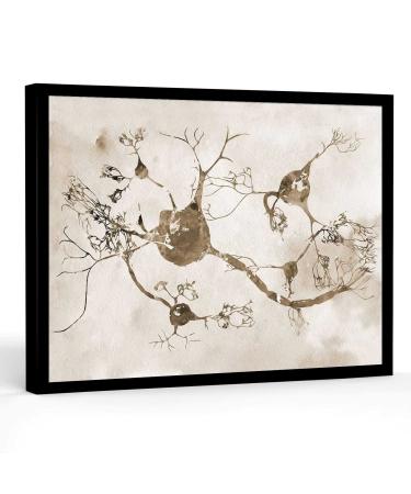 medical room decor Neurons and nervous system organic nerve cells watercolor print medical science art decor gift kids room wall art 16 X 24 Inch Framed Modern Canvas Wall Art