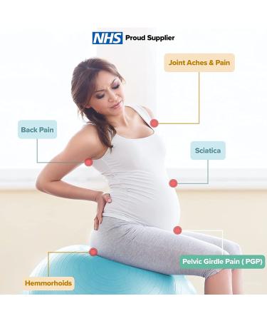 BABYGO Birthing Ball Set - Pregnancy Yoga & Exercise Ball + Book - Trimester Targeting Maternity Physio - Anti Burst Eco Friendly Material - 65cm 75cm - Turquoise - Buy Online on GoSupps.com