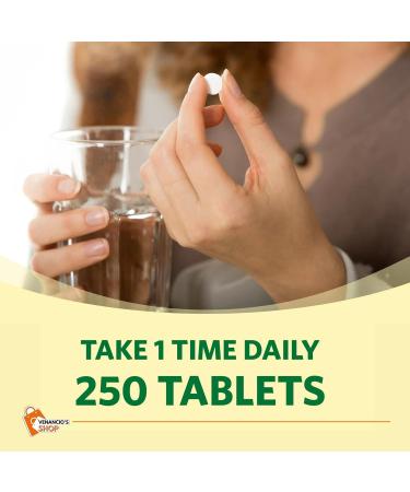 Spring Valley Vitamin B6 (Pyridoxine HCl) 100mg Tablets - 250 Veg Pills for Cardiovascular Health + Venancio's Fridge Sticker - Buy Online on GoSupps.com