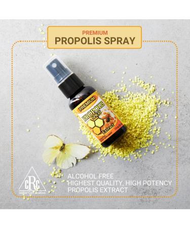 Dr.K&C HNHusa Premium Propolis Spray Throat Sore Relief 60 ml Antioxidant Immune System Support Soothing Natural Bee Honey Propolis 2pk 2 Pack - Buy Online on GoSupps.com