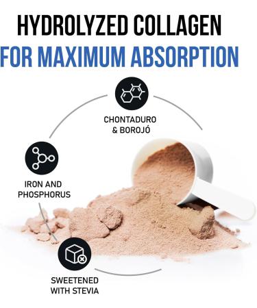 Hydrolyzed Collagen Powder for Men - BCAA & Borojo - Protein Supplement for Workouts - Zero Sugar Chocolate Flavor - 21 oz - Buy Online on GoSupps.com