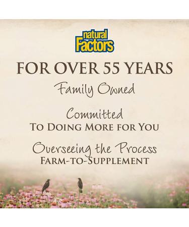 CurcuminRich Double Strength Theracurmin - 120 Vegetarian Capsules | Natural Factors - Buy Online on GoSupps.com