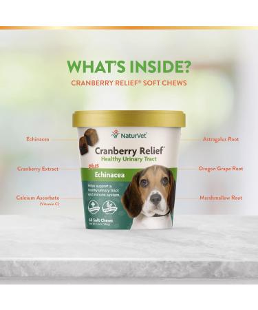 Veterinarian Strength Advanced Probiotics Healthy Enzymes & PB6 Probiotic Supplement & Urinary Health Supplement Soft Chews for Dogs Healthy Bladder & Urinary Tract Support 70 Count (Pack of 1) Probiotic Supplement + Nutritional Assorted - Buy Online on GoSupps.com