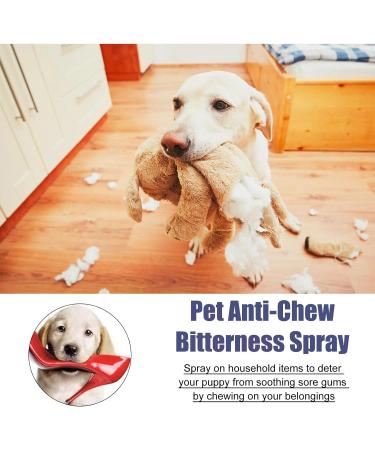 LDREAMAM Anti Kau Spray for Dogs & Cats | No Chew & Bitter Spray | Stop Chewing & Licking | 50ml - Protect Your Furniture - Buy Online on GoSupps.com