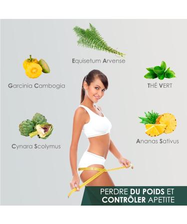 Powerful Slimming with Fat Burning Action | Garcinia Cambogia Green Tea Horsetail | Appetite Reducing | Lose Weight Naturally Without Rebound Effects | 90 Capsules - Buy Online on GoSupps.com