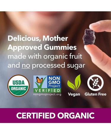 Fruily Organic Elderberry Gummies for Kids - Immune Support with Vitamins C, D & Zinc - 50 Count - Buy Online on GoSupps.com