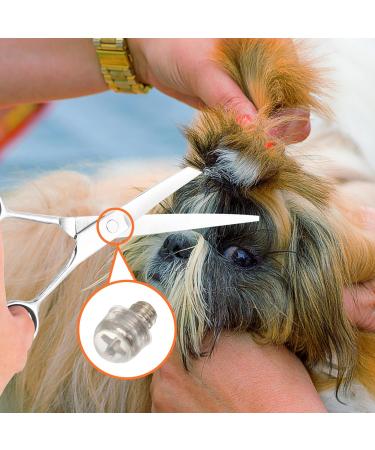 Minkissy Metal Shear Onion Cutter for Animal Hair Cutting - 10 Pack Enhances Shearing Efficiency - Buy Online on GoSupps.com
