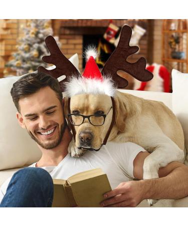 Shop Lynbly Christmas Reindeer Headband for Pets | Adjustable Cat & Dog Headgear with Santa Hat - Buy Online on GoSupps.com