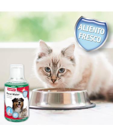 Behark Buccal Water Dog and Cat 250ml - Buy Online on GoSupps.com