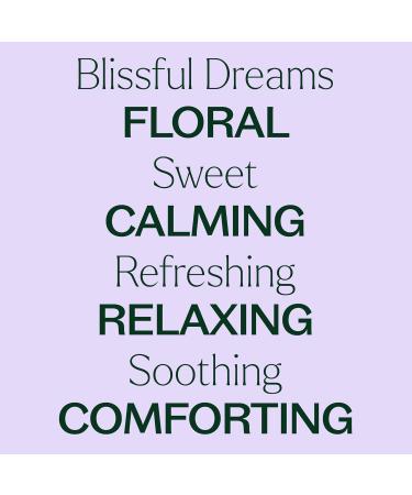 Plant Therapy Blissful Dreams Essential Oil Blend For Relaxation While Supporting Quality Rest Grounding and Soothing Lovely Bedtime Aroma 10 mL (1/3 oz) 100% Pure Undiluted Natural Aromatherapy 0.33 Fl Oz (Pack of 1) - Buy Online on GoSupps.com