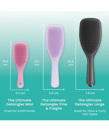 Tangle Teezer Fine & Fragile Wet Detangler Hairbrush - Soft Flex Teeth, Less Breakage - Ideal for Thinning Hair, Color-Treated & Sensitive Scalps - Comfort Handle - Hypnotic Heather - Buy Online on GoSupps.com