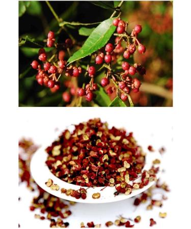 Whole Szechuan Peppercorns Premium Sichuan Red Peppercorns Wild Ma Pepper Chinese Seasoning Spicy and Delicious Recipes Da Hong Pao 50G (Red-Peppercorns) - Buy Online on GoSupps.com