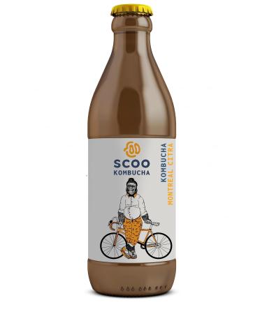 Scoo Kombucha Montreal Citra - 12 bottles 330 ml organic kombucha tea unpasteurized