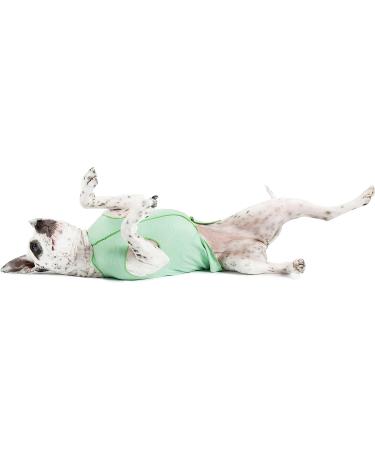 Gold Paw Sun Shield Dog Tee - Size 10 Pistachio | UV Protection, Anxiety Relief, Wound Care, Foxtail Protection, Alopecia Aid | Machine Washable, All Season | Pack of 1 - Buy Online on GoSupps.com