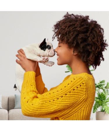 Iv San Bernard Trad Pek Conditioner 250 ml - Nourishing Dog Hair Care for All Breeds | International Shipping Available - Buy Online on GoSupps.com