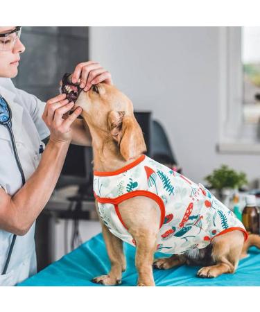 Pumyporeity Surgical Suit for Dogs | Healing Anti-Licking Vest for Post-Operation Protection | Belly Wound & Skin Care Available in Mushroom Size L - Buy Online on GoSupps.com