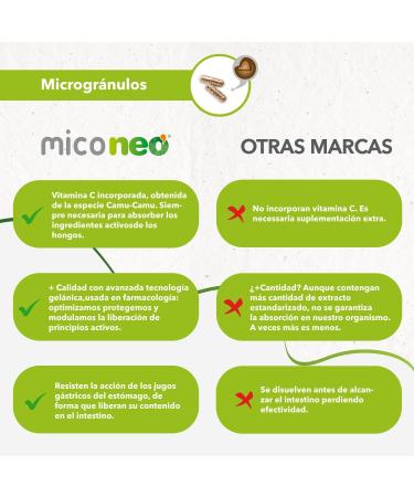  MICO NEO MICO NEO | ALR | 60 Capsules | Helps Against Symptoms of Seasonal Allergy | Reduces Cough | Golden Sun Reishi Sun Mushroom Lion Mane and Camu - Buy Online on GoSupps.com