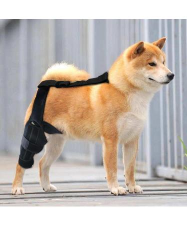 Dog Behind Leg Brace Brace Behind Leg | Brace Behind Leg Neoprene Hip Brace Adjustable Traction Belt Stabilizer for Torn ACL Leg M right - Buy Online on GoSupps.com