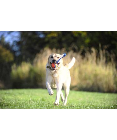 Chuckit! Ultra Tug & Toss Dog Toy for Small, Medium, and Large Dogs - Medium Size - Buy Online on GoSupps.com