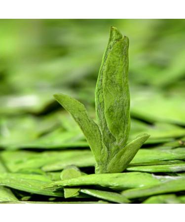 HQZM Grade 1 Longjing Green Tea Preming Loose Leaf Tea 250 g 881 Oz Short Natural Flavor - Buy Online on GoSupps.com