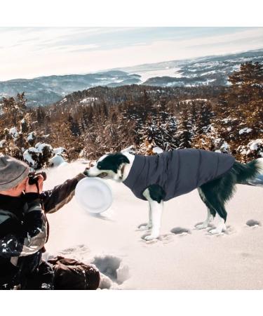 ASENKU Windproof Dog Winter Jacket - Waterproof & Warm Pet Coat for Small, Medium, Large Dogs - Blue (S Size) - Buy Online on GoSupps.com