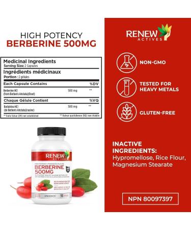 Renew Actives Berberine MAXIMUM POTENCY 1000mg per Serving (2 capsules 500mg each). Supports Glucose Metabolism Healthy Lipids and Energy Support-Non-GMO Vegan-90 Easy-to-Swallow Capsules-Made in Canada. 90 count (Pack of 1) - Buy Online on GoSupps.com