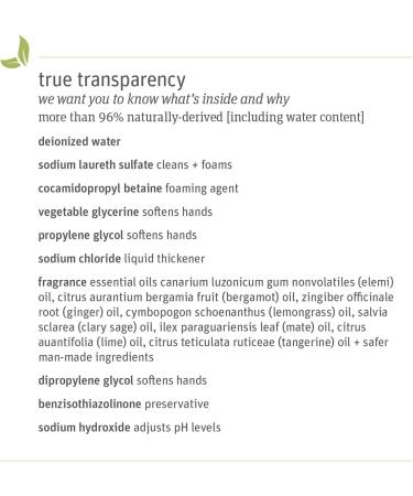 Grab Green Dishwashing Pods - 24 Count, Thyme Fig Leaf Scent, Plant-Based Grease Removal - Buy Online on GoSupps.com